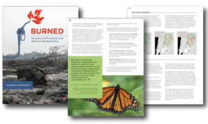 BURNED: Deception, Deforestation and America’s Biodiesel Policy