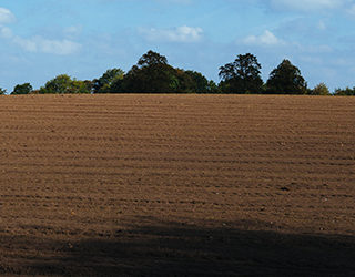 Unwind the Ethanol Mandate