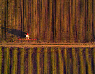 Ted Cruz confirms his hold on Northey nomination