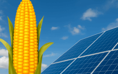 Ethanol corn uses farmland area the size of New York — could solar do it better?
